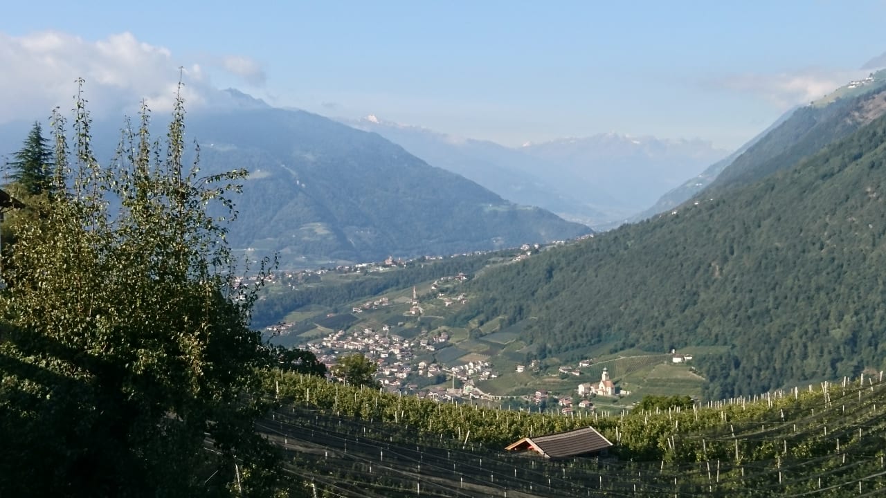 Ausblick Hotel Schön Aussicht