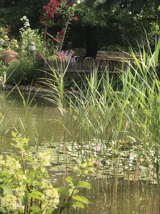 Gartenanlage Hotel Restaurant Rebstock Durbach