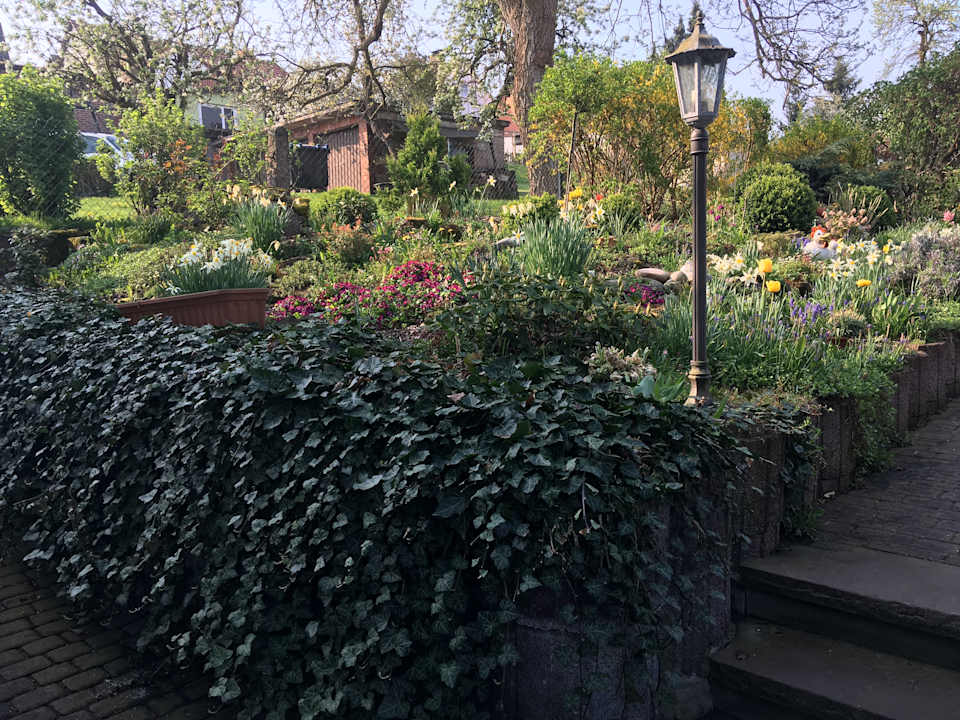 Gartenanlage Pension Alt Heringen