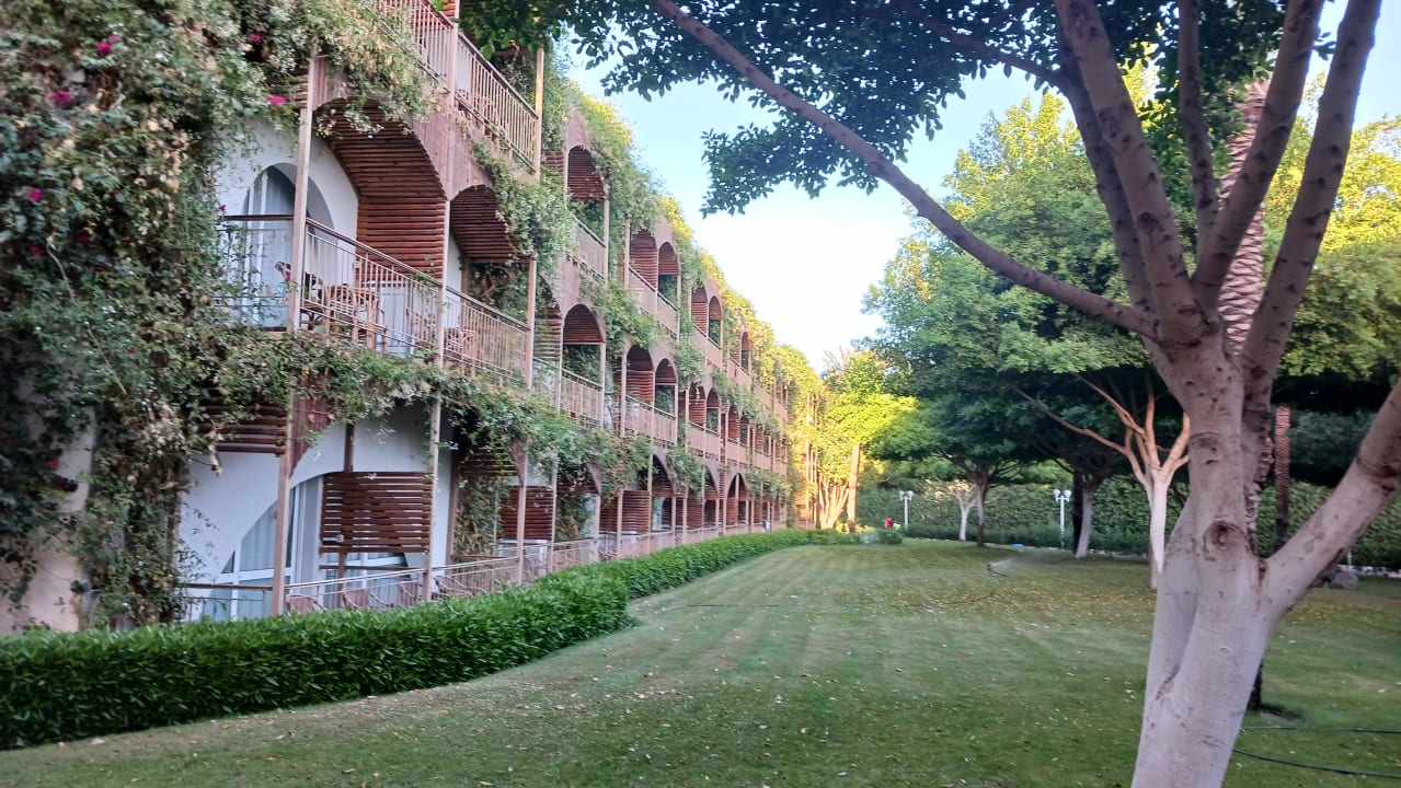 Außenansicht Desert Rose