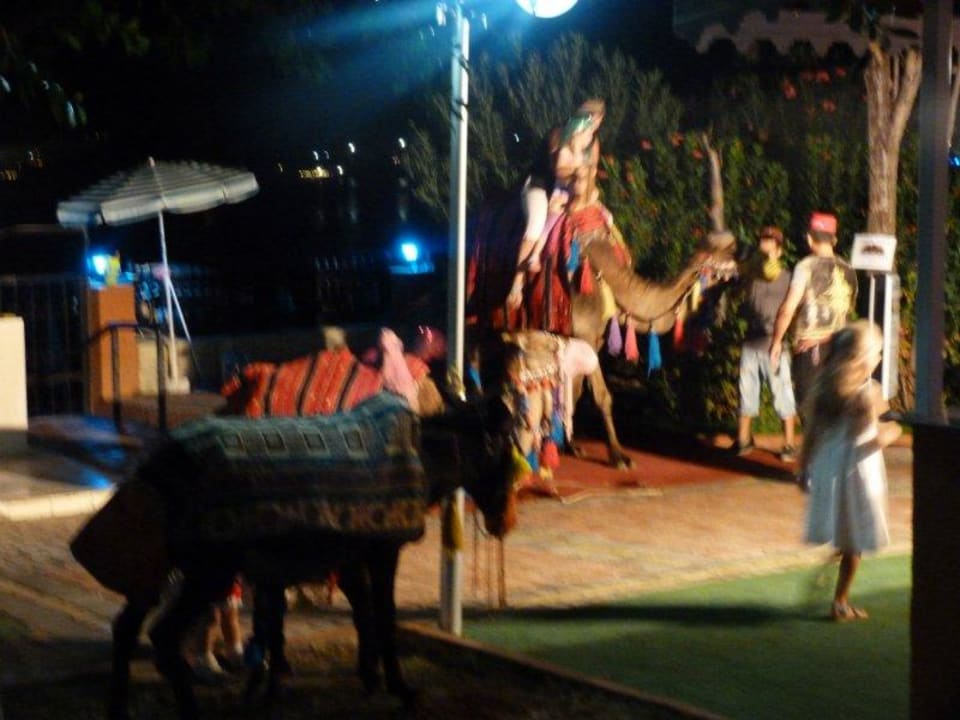 Türkischer Abend im Hotel Lonicera Resort & Spa Hotel