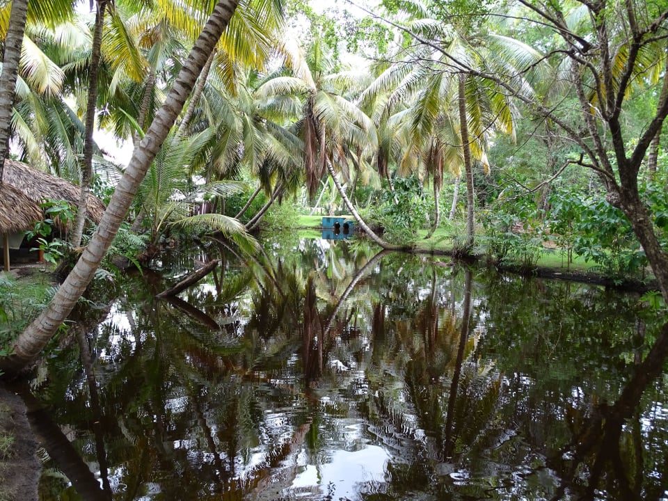 See mit Fischen und Schildkröten Wyndham Alltra Samana