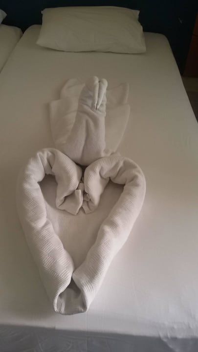 Kleopatra Beste Hotel  Hotel Aslan City Kleopatra