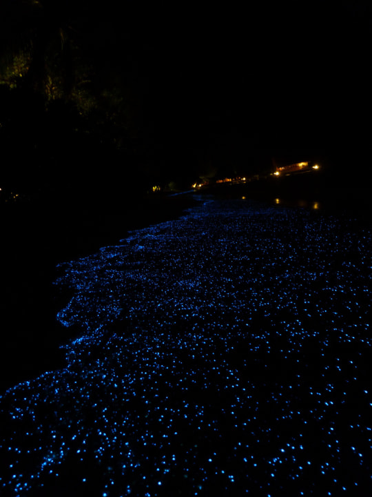 Planktonleuchten am Strand Kuramathi Maldives