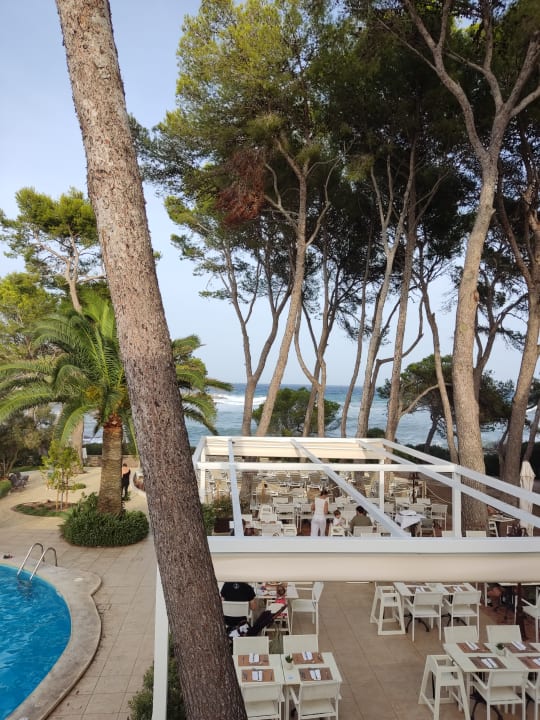 Ausblick Iberostar Waves Pinos Park