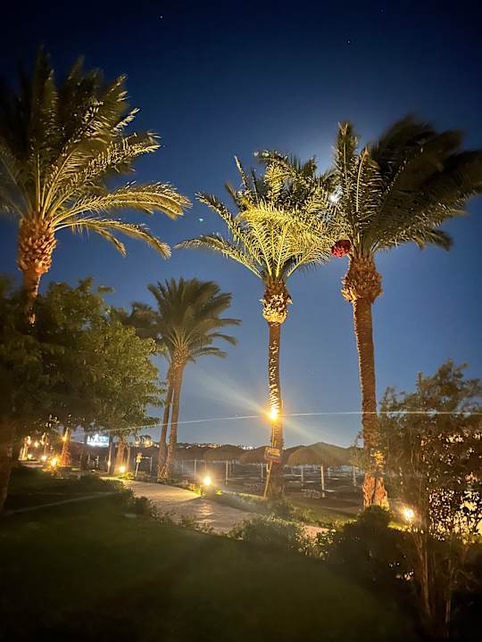 Strand Sentido Caribbean World Soma Bay