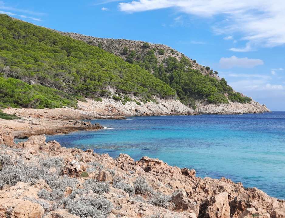 Sonstiges allsun Hotel Lux de Mar