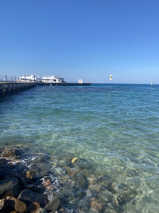 Ausblick Desert Rose