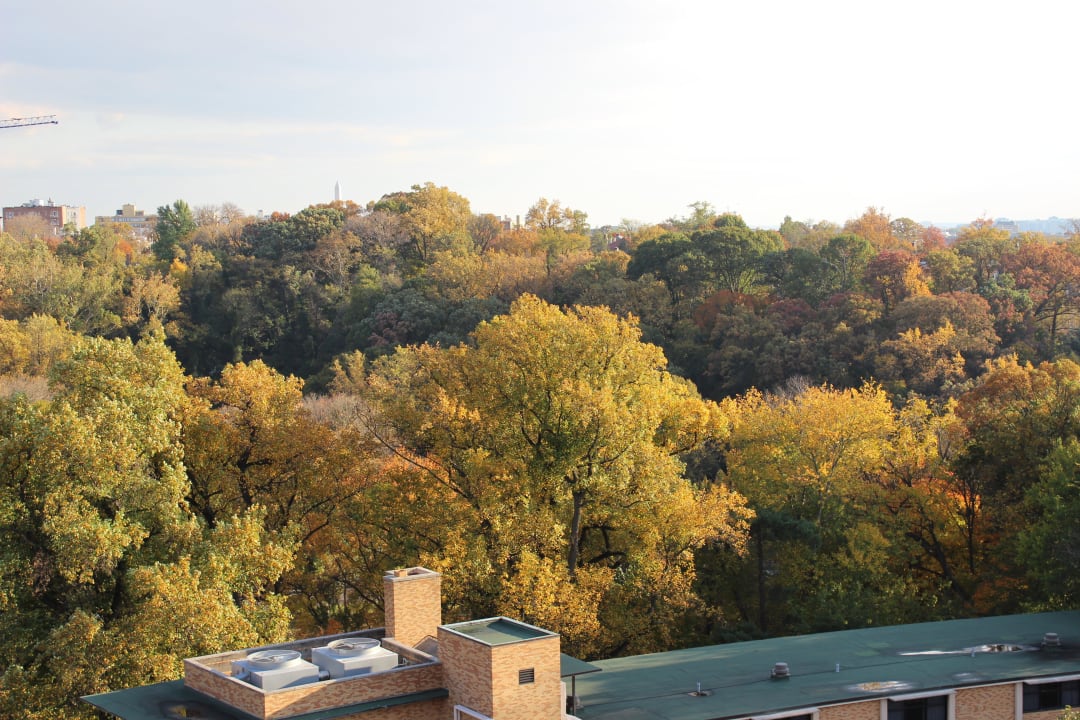 Ausblick aus dem Zimmer  Omni Shoreham Hotel