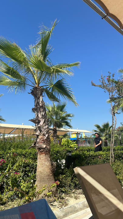 Pool Dream Water World