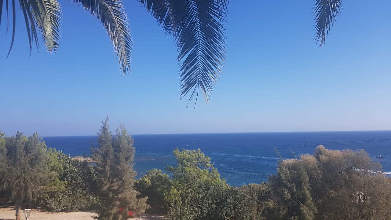 Ausblick Rodos Princess Beach Hotel & Spa