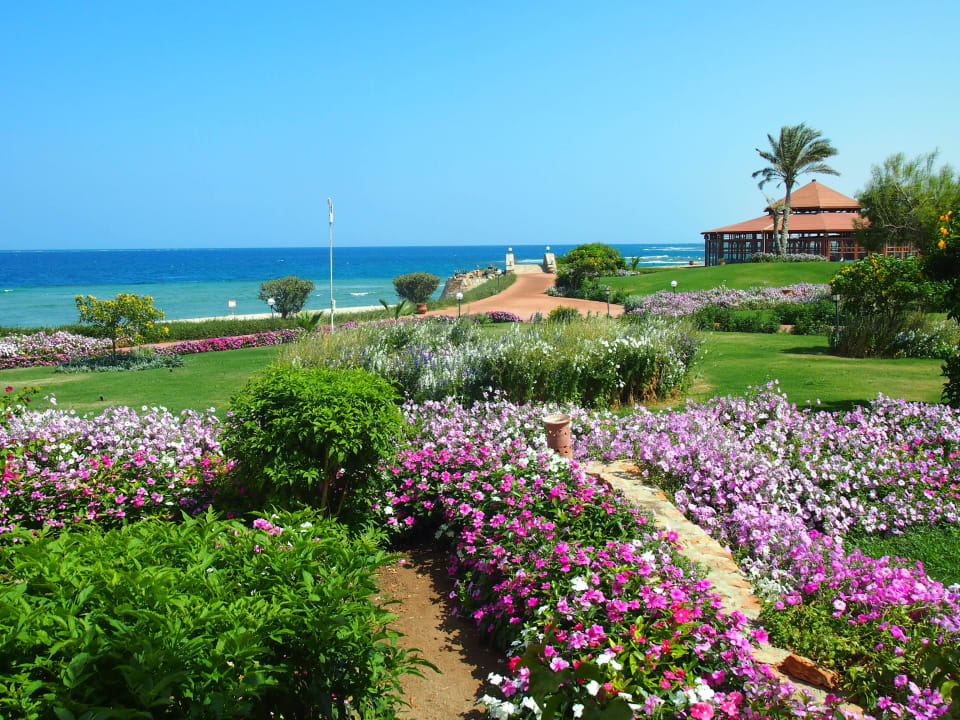 Widok z okna pokoju Three Corners Equinox Beach Resort