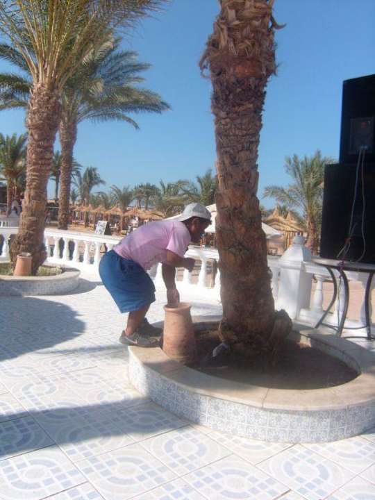 Coco Beach Albatros Resort