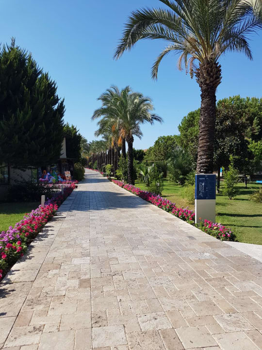 Gartenanlage TUI BLUE Palm Garden