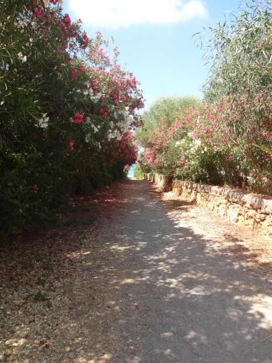 Weg zum Strand Sentido Kyknos Beach Adults Only 16+