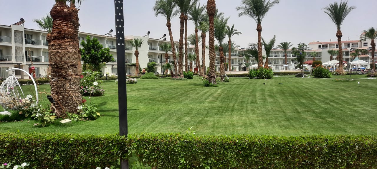 Gartenanlage Amarina Abu Soma Resort & Aquapark