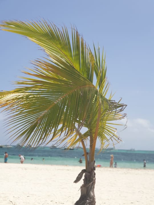 Strand Lopesan Costa Bávaro Resort, Spa & Casino