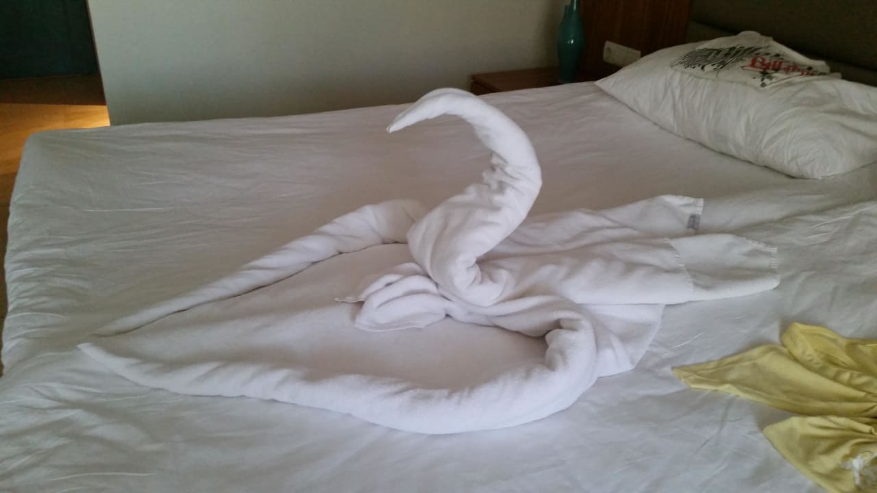 Aufmerksamkeit der Putzfrauen PALOMA Perissia