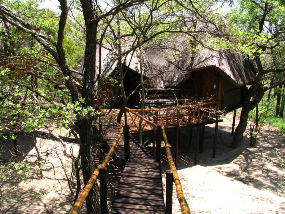 Baumhaus Pezulu Tree House Lodge