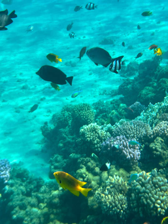 Sport & Freizeit Iberotel Makadi Beach