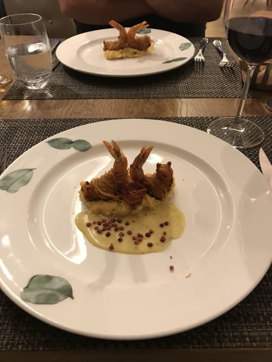 Gastro Acanthus Cennet Barut Collection