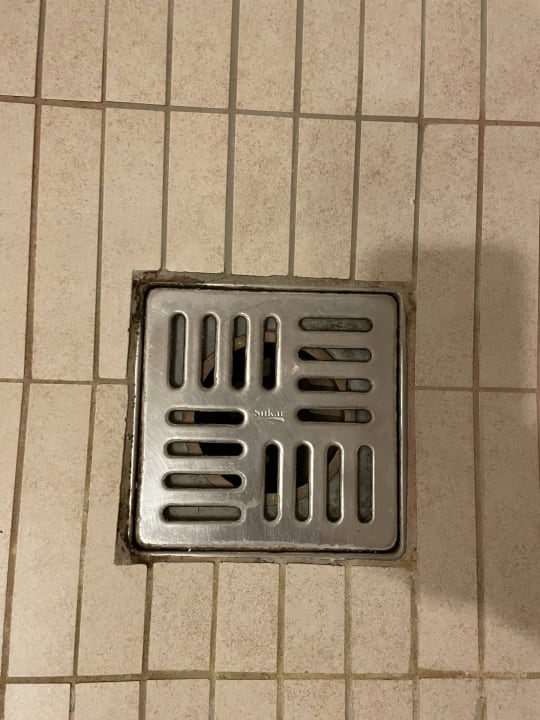 Zimmer Well Palace Side