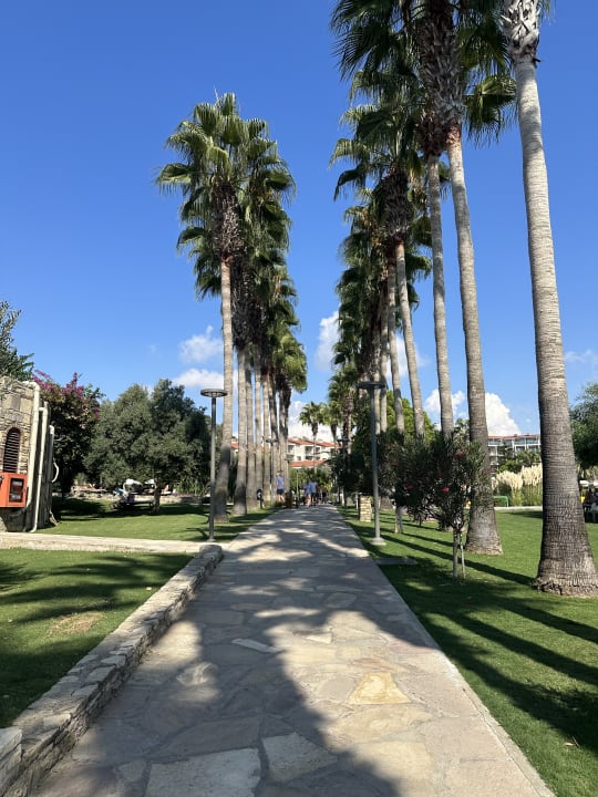 Gartenanlage Arum Barut Collection