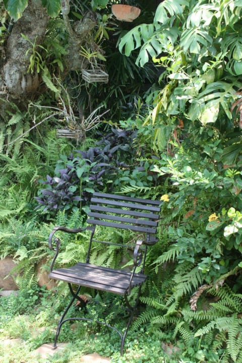 Gartenstuhl Little Eden Guesthouse