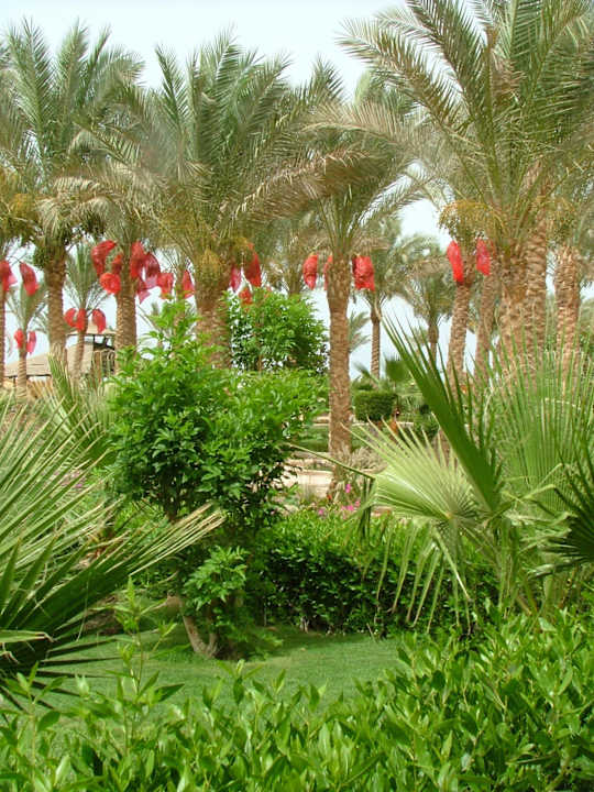 Palmen Riviera Aqua Park Resort