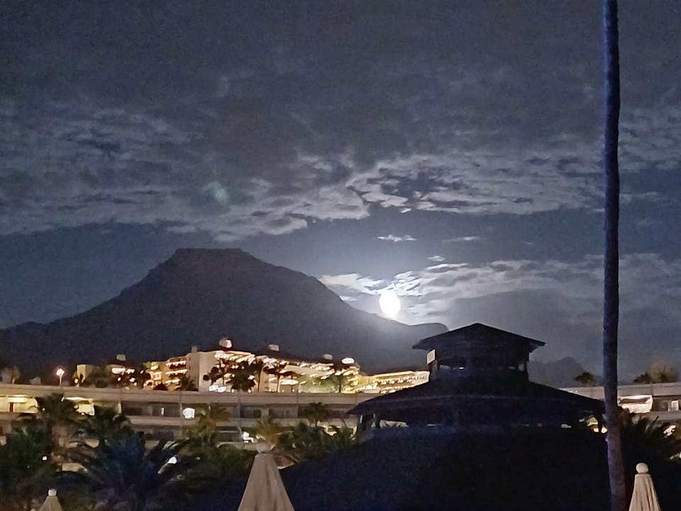 Pool Hotel Riu Palace Tenerife
