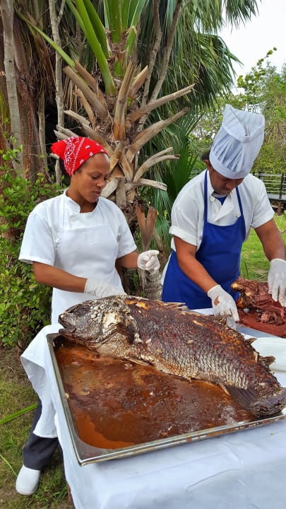 Kubanisches Fest Melia Las Antillas - Adults only