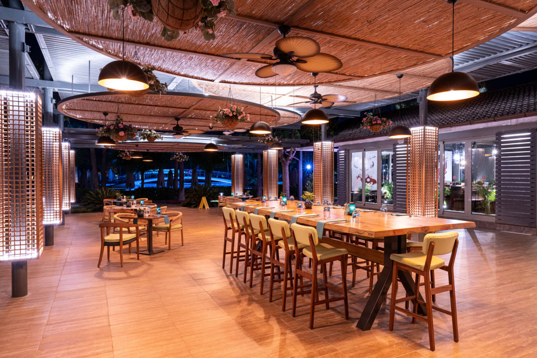 Gastro Lara Barut Collection