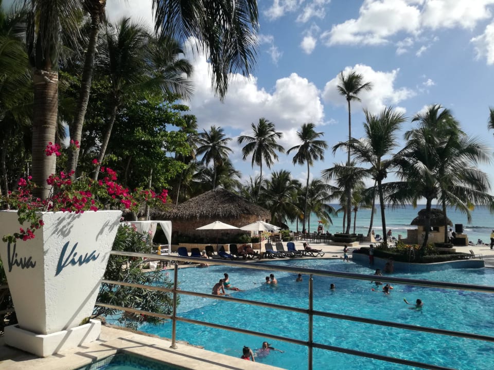 Hauptpool Hotel Viva Dominicus Beach by Wyndham - All Inclusive Resort