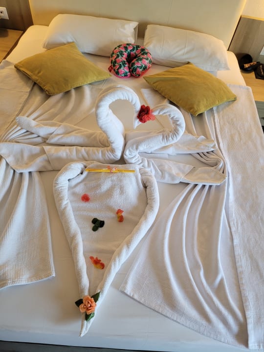 Zimmer Calimera Hane Garden