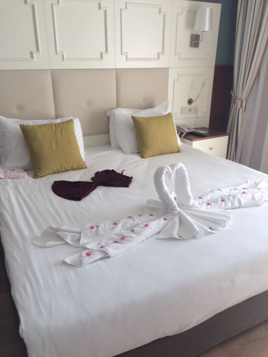 Jeden Tag was Neues Well Palace Side