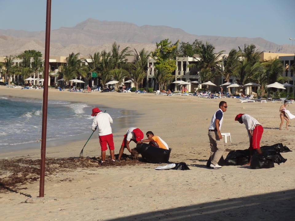 Rettungsschwimmer gehen dem Tang zu Leibe Rixos Al Mairid Ras Al Khaimah