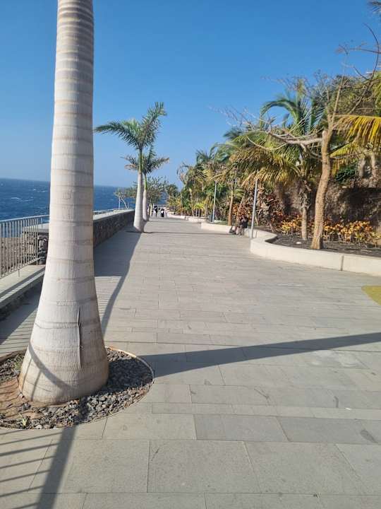 Gartenanlage Hotel Riu Buenavista