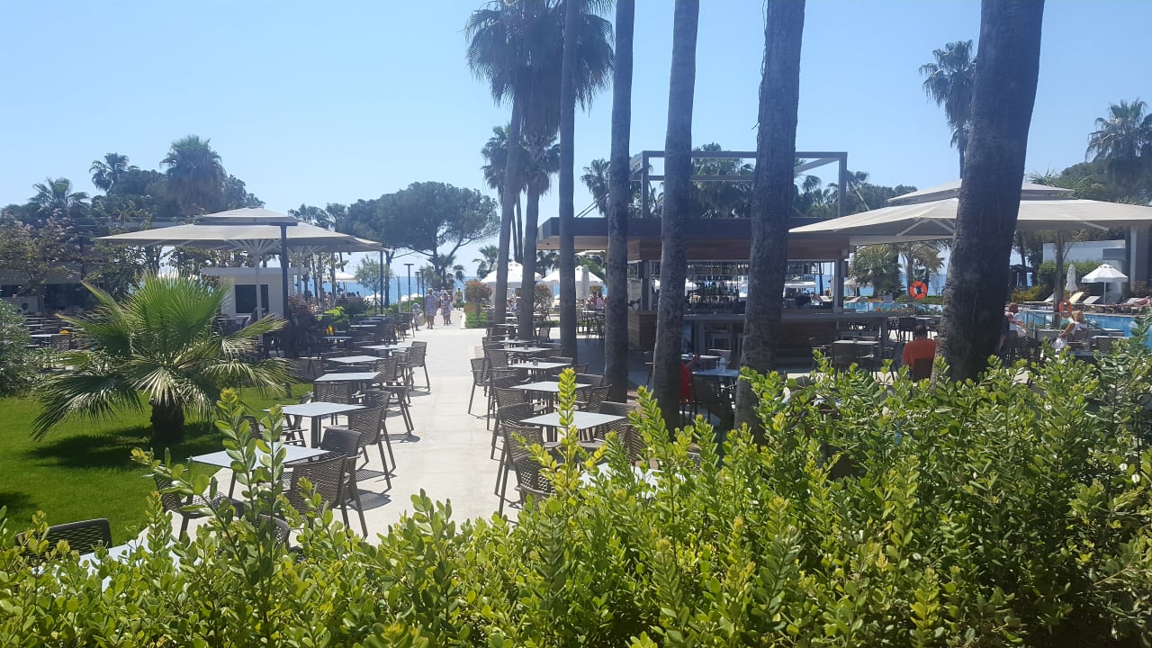 Gastro Acanthus Cennet Barut Collection