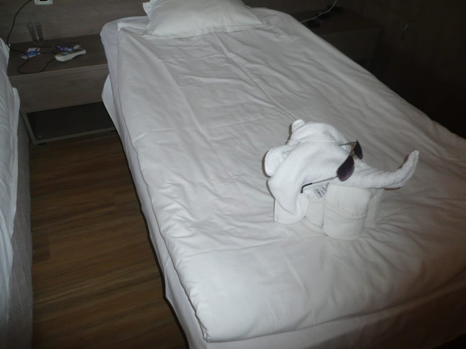 Arbeit der Putzfrau Odessos Park Hotel