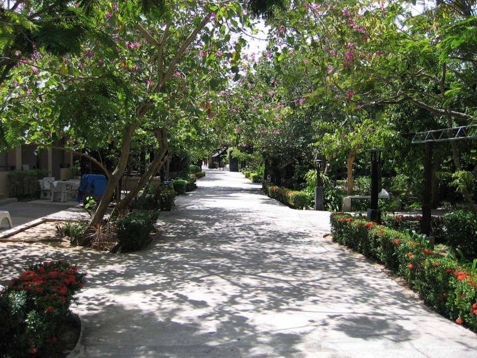 Außenanlage Hotel Kata Country House