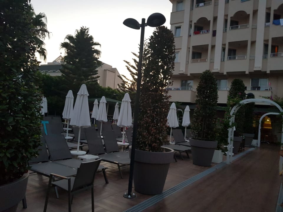 Pool Calimera Hane Garden