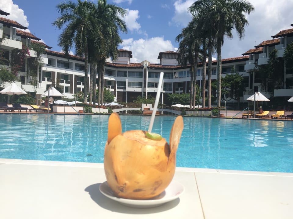 Pool Hotel Lanka Princess Ayurveda