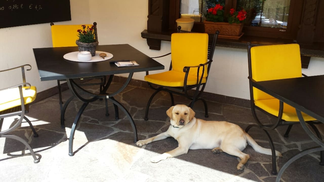 Auf der Terrasse gab es Nachmittags Kaffee und Kuchen! Hotel Johanna mitten im Ötztal