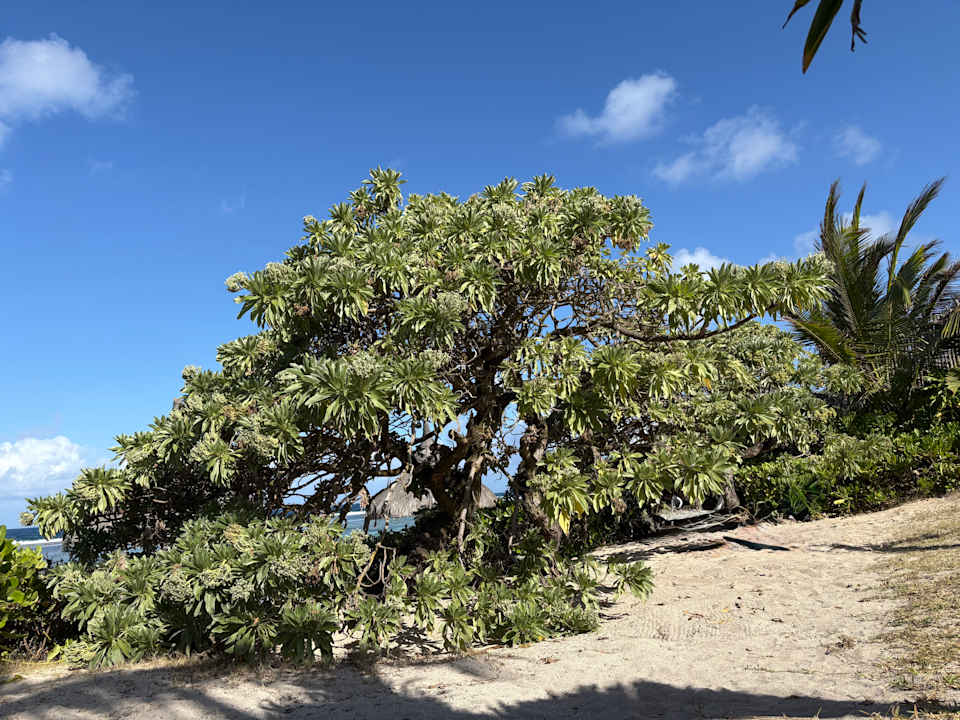 Gartenanlage Radisson Blu La Poste Lafayette Resort & Spa Poste Lafayette MU