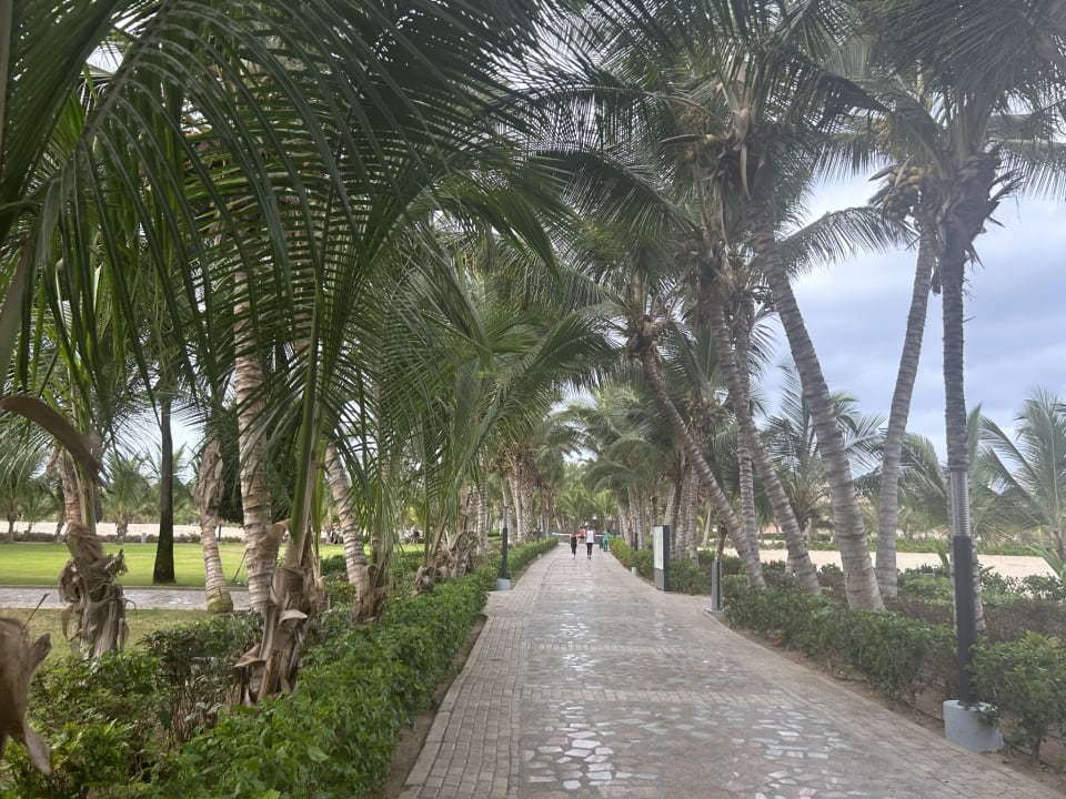 Gartenanlage Hotel Riu Cabo Verde