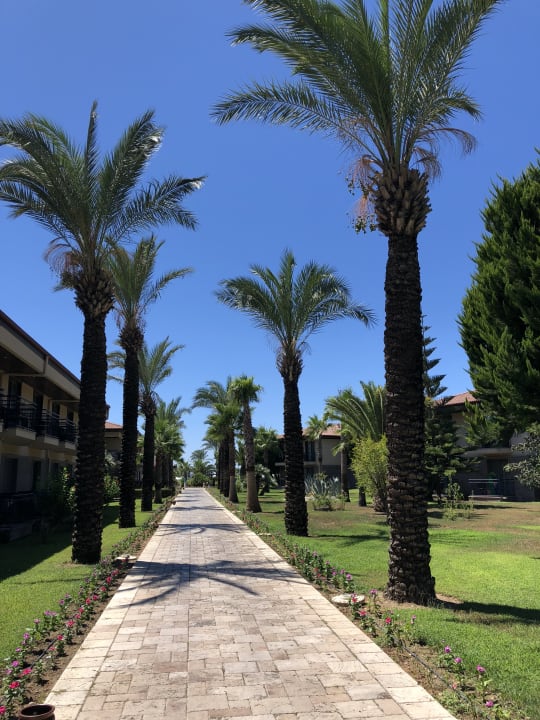 Ausblick TUI BLUE Palm Garden