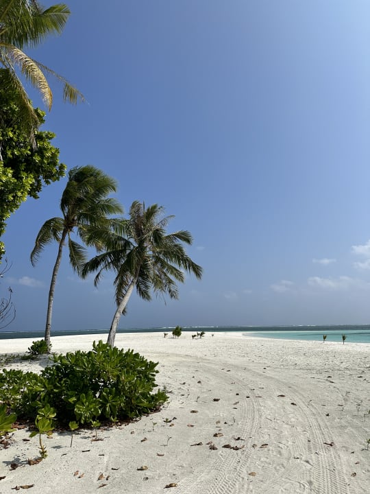 Strand Jawakara Islands Maldives