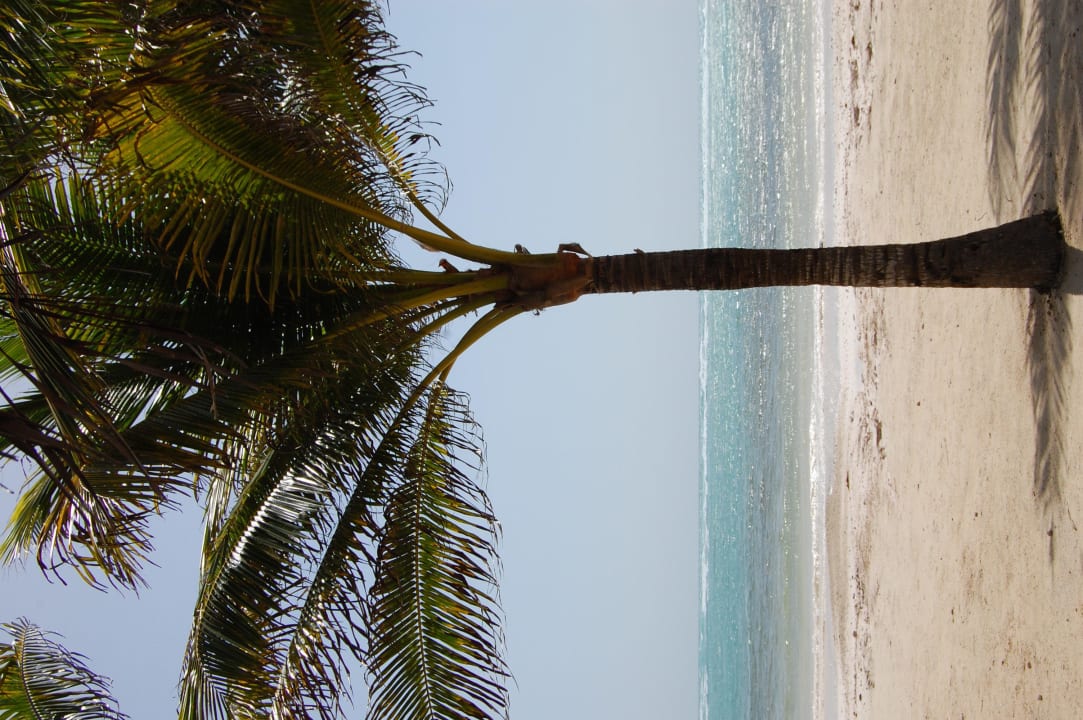 Strand Grand Palladium Kantenah Resort & Spa