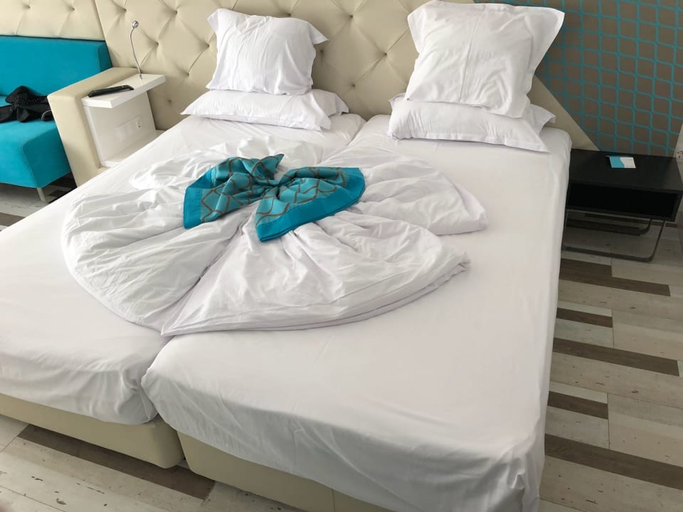 Zimmer Sentido Marea