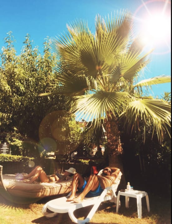 Gartenanlage Dream World Aqua Hotel